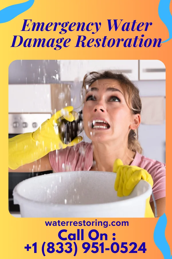 Emergency Water Damage Restoration in Loma Linda, TX