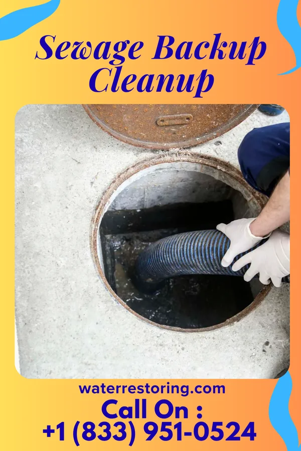 Sewage Backup Cleanup in Loma Linda, TX